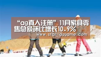 “ag真人注册”11月家具零售总额环比增长10.9%(图2) ag真人入口