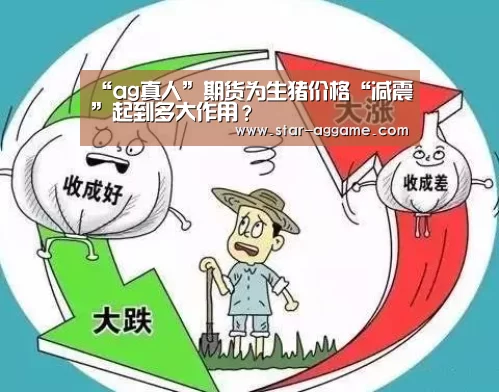 “ag真人”期货为生猪价格“减震”起到多大作用?(图2) ag真人