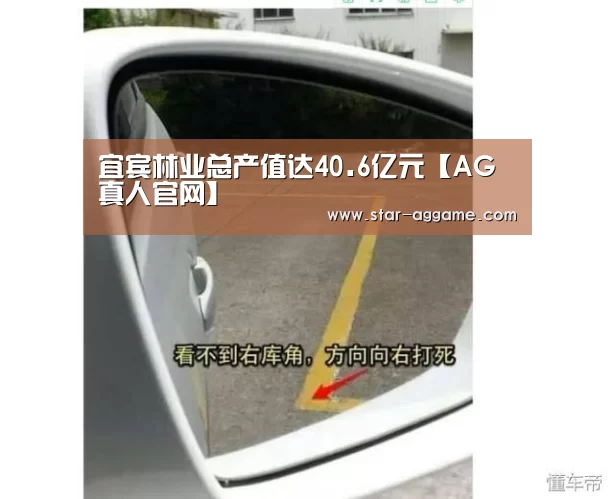 宜宾林业总产值达40.6亿元【AG真人官网】(图3) ag真人