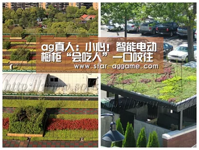 ag真人:小心!智能电动橱柜“会吃人”一口咬住饭店员工头部(图2) ag真人