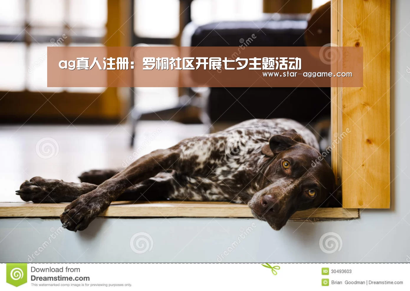 ag真人注册:罗桐社区开展七夕主题活动(图1) ag真人入口