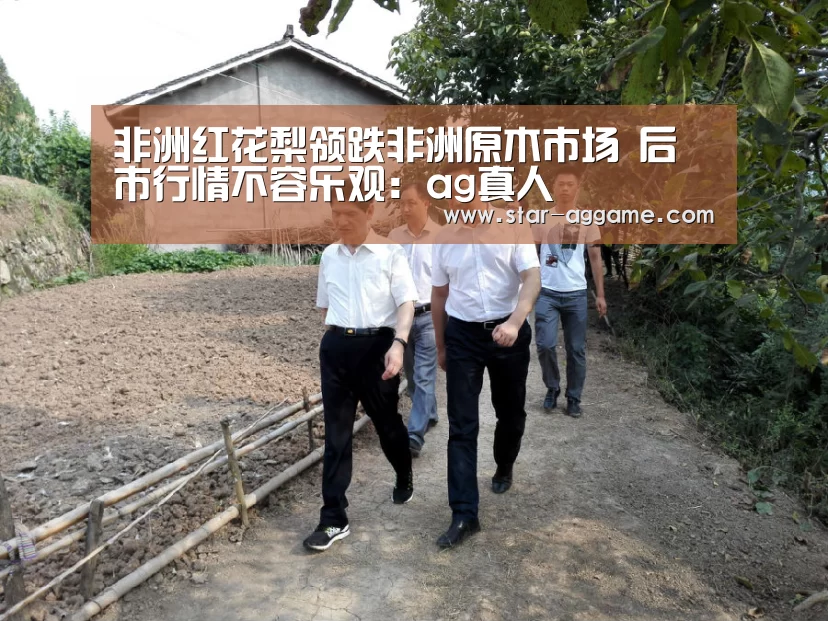 非洲红花梨领跌非洲原木市场 后市行情不容乐观:ag真人(图3) AG真人官网