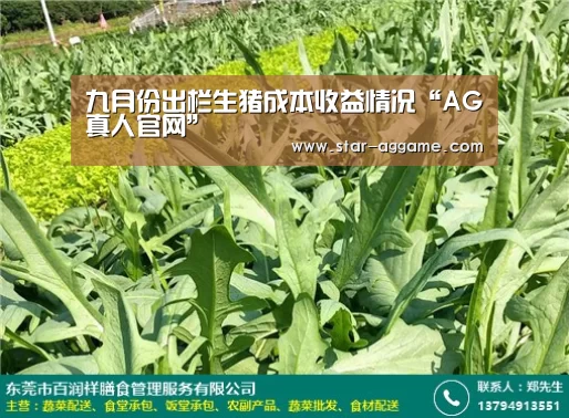 九月份出栏生猪成本收益情况“AG真人官网”(图3) ag真人入口