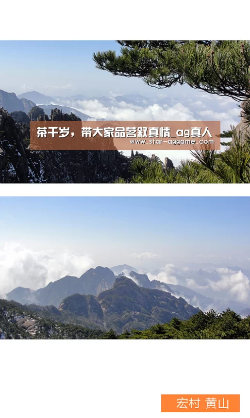 ag真人注册