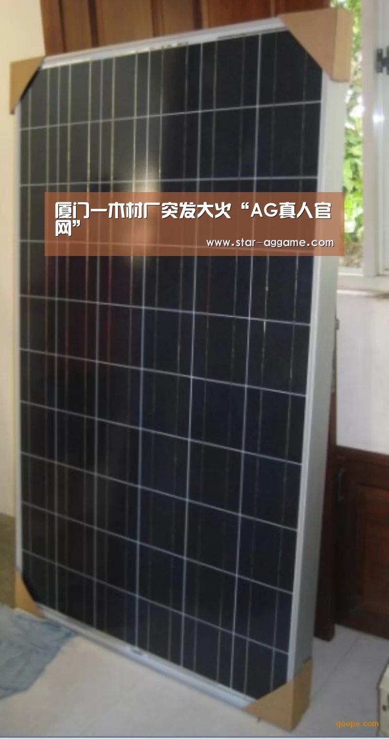 厦门一木材厂突发大火“AG真人官网”(图2) ag真人