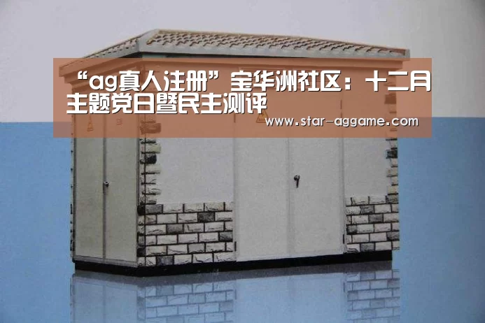 “ag真人注册”宝华洲社区:十二月主题党日暨民主测评(图1) ag真人注册