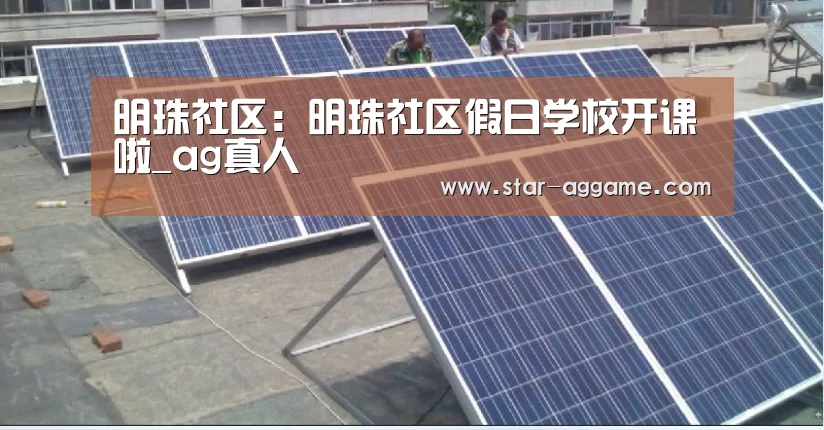 明珠社区:明珠社区假日学校开课啦_ag真人(图3) ag真人