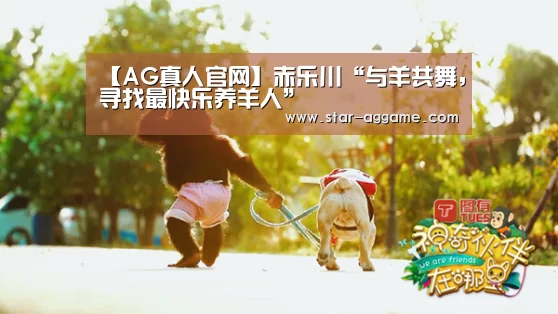 【AG真人官网】赤乐川“与羊共舞,寻找最快乐养羊人”(图3) ag真人注册