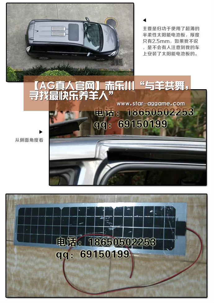 【AG真人官网】赤乐川“与羊共舞,寻找最快乐养羊人”(图2) ag真人注册