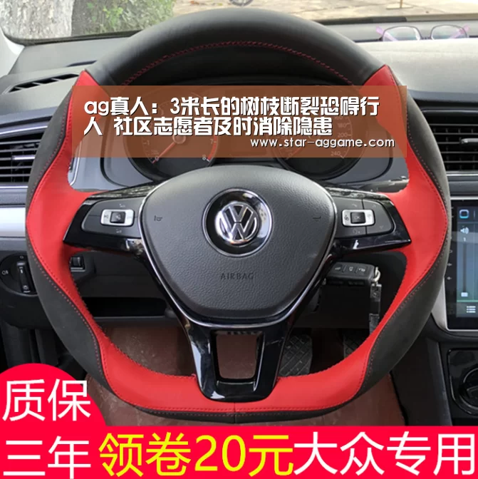 ag真人:3米长的树枝断裂恐碍行人 社区志愿者及时消除隐患(图3) ag真人入口