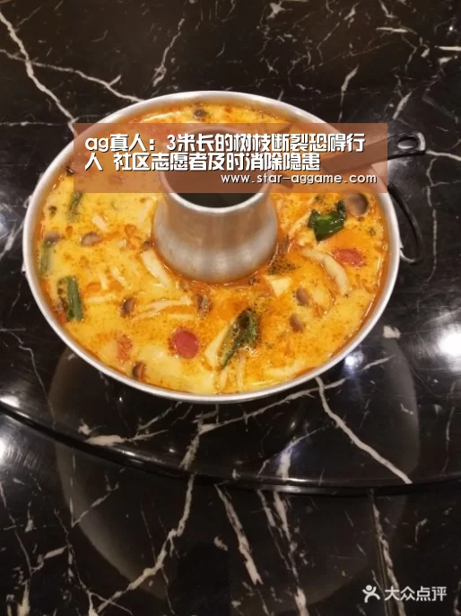 ag真人:3米长的树枝断裂恐碍行人 社区志愿者及时消除隐患(图1) AG真人官网