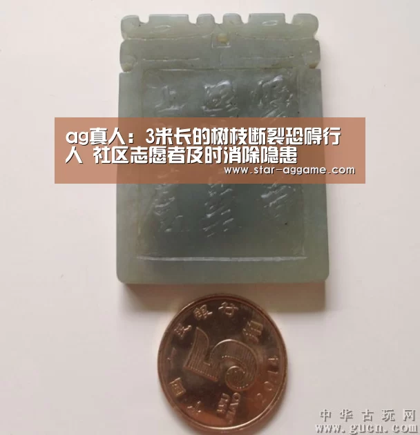ag真人:3米长的树枝断裂恐碍行人 社区志愿者及时消除隐患(图4) ag真人入口
