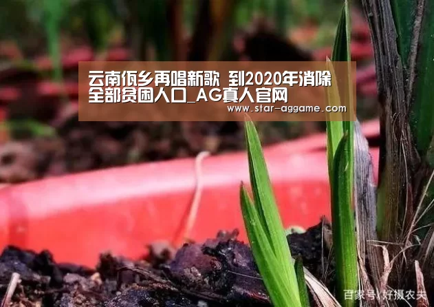 云南佤乡再唱新歌 到2020年消除全部贫困人口_AG真人官网(图2) ag真人入口