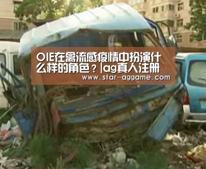 OIE在禽流感疫情中扮演什么样的角色？|ag真人注册